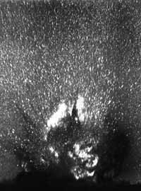 na01fo01.jpg (16583 bytes)