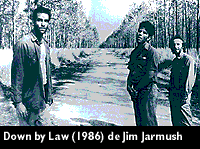 Down by law