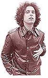 Andr&eacute;s Calamaro