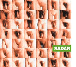 Foto Tapa
