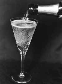 copa.jpg (7589 bytes)