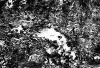 na29fo01.jpg (17660 bytes)