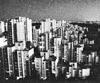 na19fo02.jpg (15101 bytes)