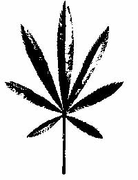 na22fo02.jpg (11867 bytes)