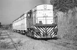 na08fo01.jpg (12834 bytes)