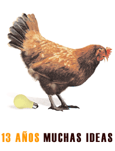 13 A&Ntilde;OS MUCHAS IDEAS