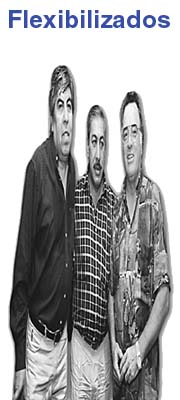 Flexibilizados
