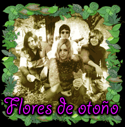 Flores de oto&ntilde;o