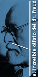 FREUD Y LA COCAINA