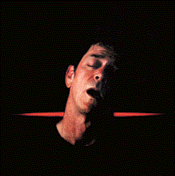 Lou Reed