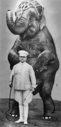 el mism&iacute;simo hans stosch-sarrasani vestido de domador con su elefanta mary, alrededor de 1933.