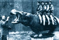 El c&eacute;lebre hipopotamo oedipus, que viajaba en un vag&oacute;n propio provisto de agua templada.