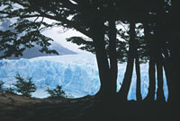 Entre &ntilde;ires y lengas, una vista espectacular del glaciar.