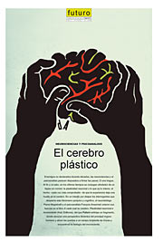 Tapa futuro
