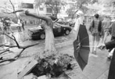 /fotos/20021125/notas/NA17FO01.JPG