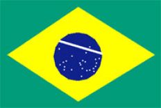 /fotos/20060616/notas/BRASIL.JPG