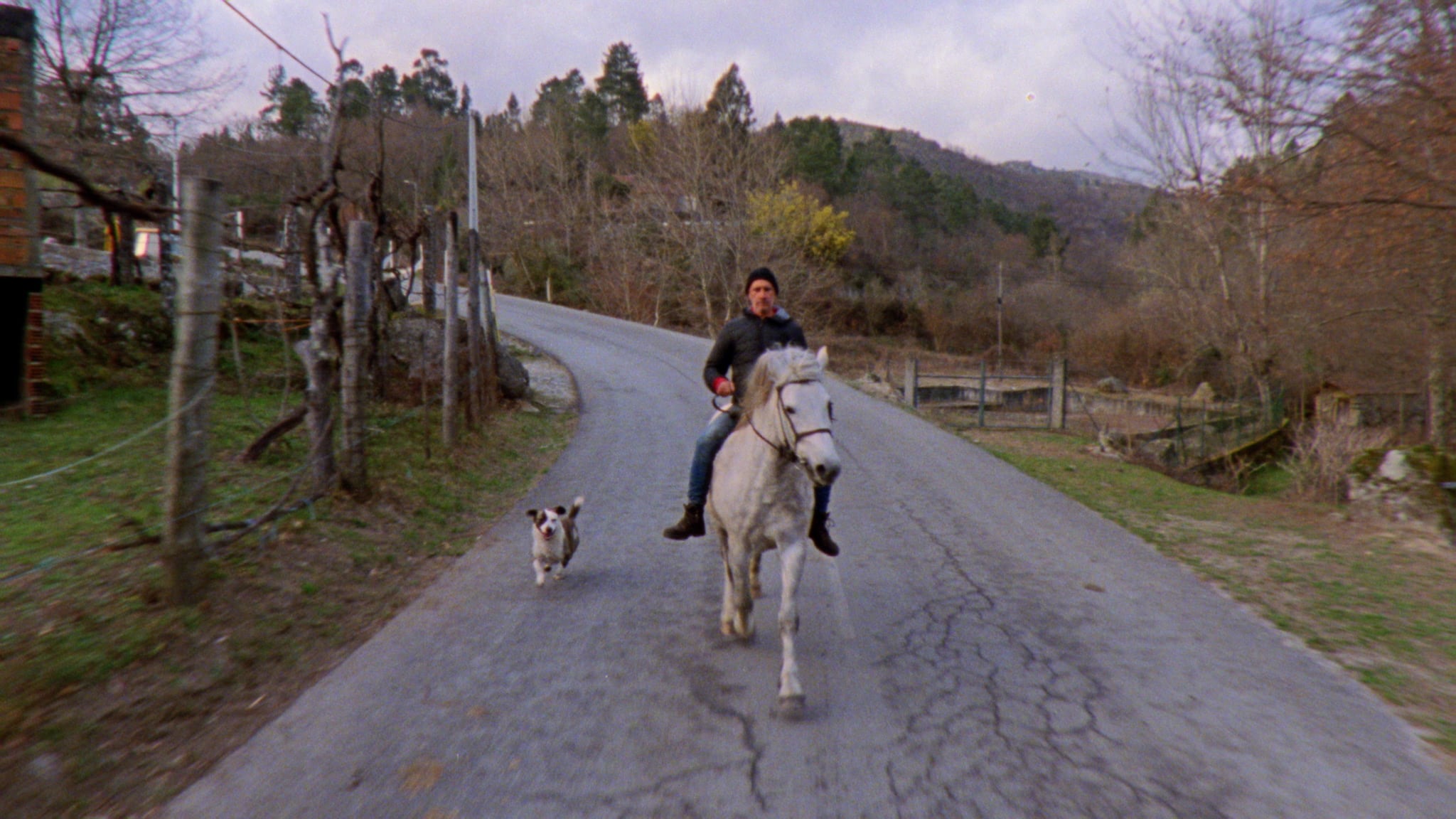 El film equilibra el humor ligero y la impronta de fábula atemporal. 