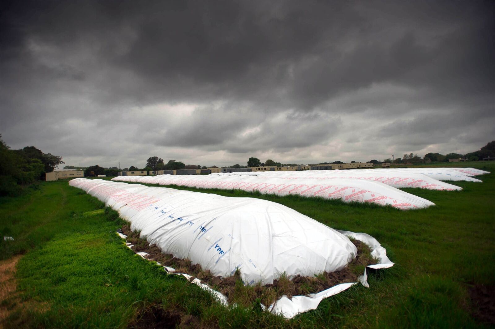 Uno de los artículos de la ley ómnibus propone adherir a la UPOV 91