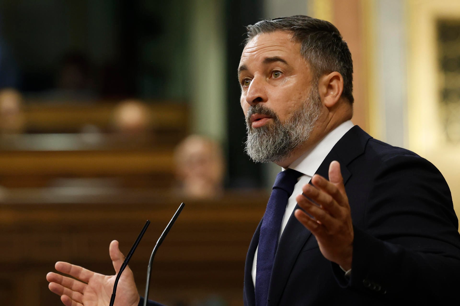 El líder de Vox, Santiago Abascal.