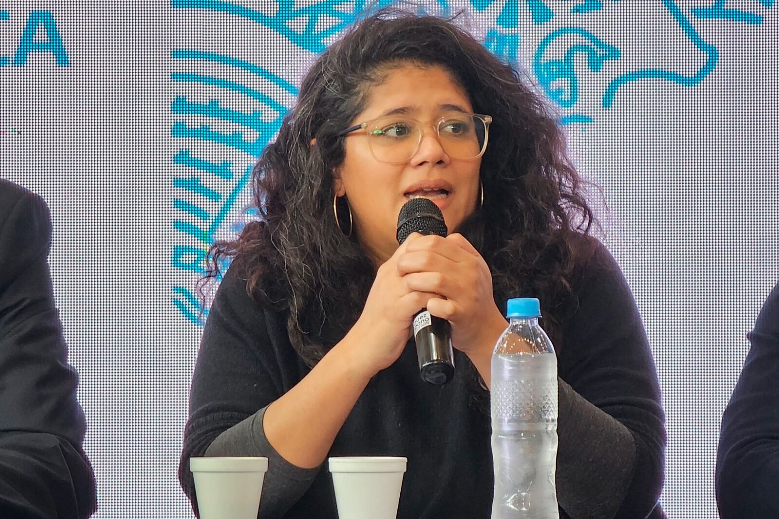 Romina Barrios defiende la iniciativa provincial para un nuevo ordenamiento territorial y urbano.