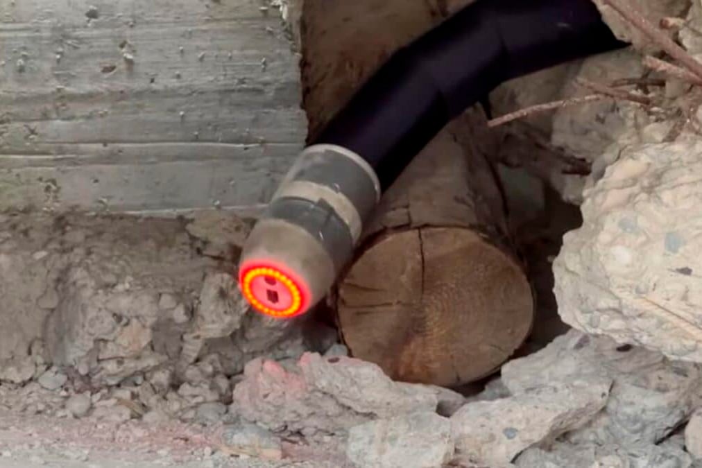 Esta serpiente sí será bien recibida por todos.