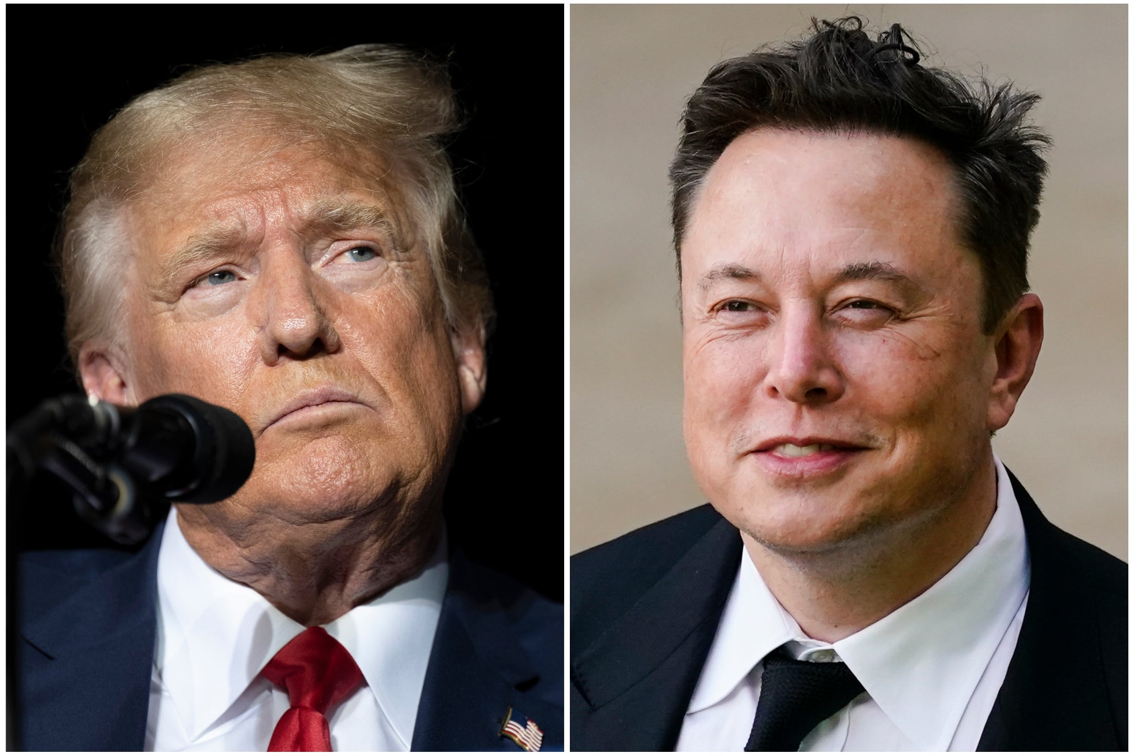 Nos habíamos querido tanto: Trump y Musk, por caminos separados