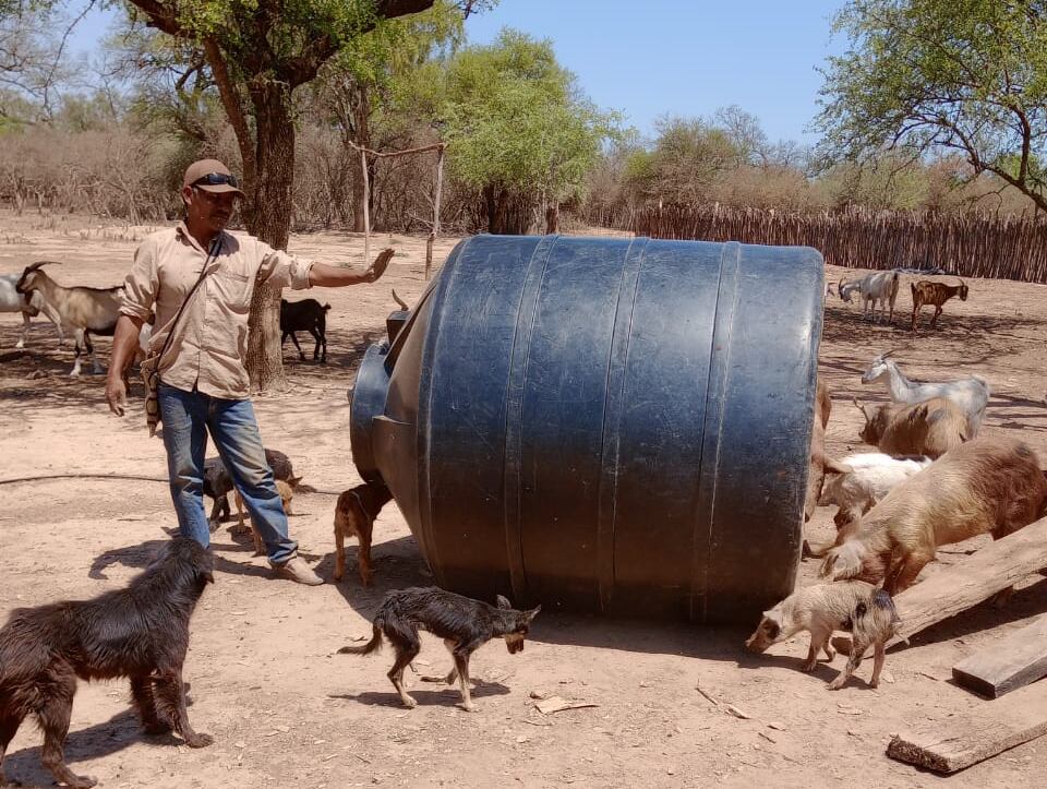 Ni para las personas, ni para los animales, el agua, bien escaso en el norte salteño. 