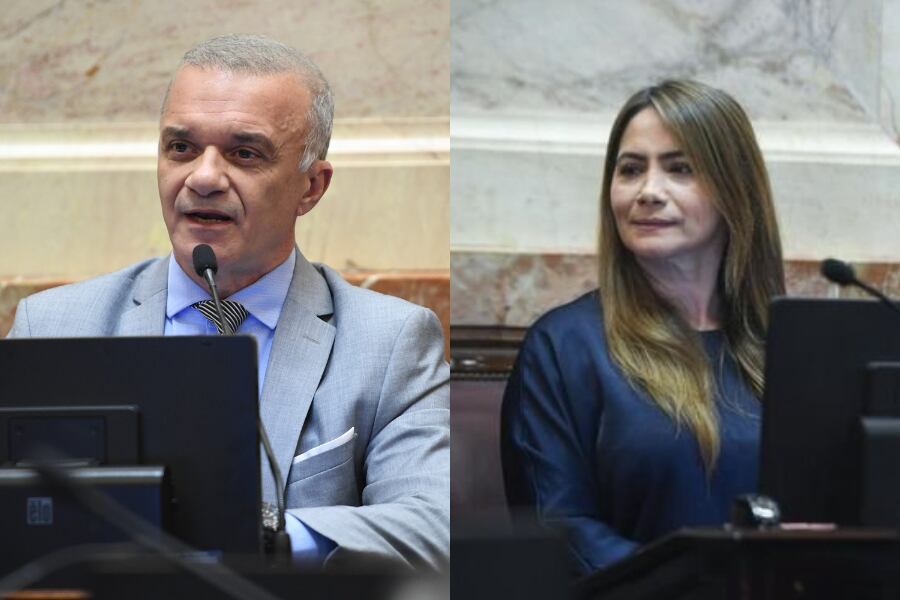 Los senadores Carlos Arce y Sonia Rojas Decut