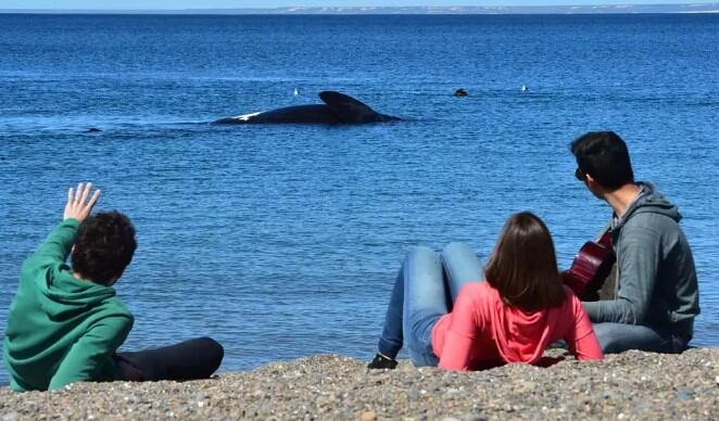 Puerto Madryn es reconocida internacionalmente por la riqueza de su vida marítima. Imagen: Turismo Puerto Madryn